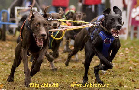 Tri studne podzim 08 - 099.jpg